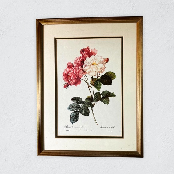 Vintage Other - VTG Pierre-Joseph Redouté Framed Botanical Roses Rosa Damascena Celisiana Print